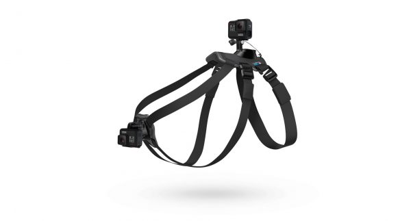 پایه اتصال گوپرو بر روی حیوانات - GoPro Fetch Dog Harness Camera Mount